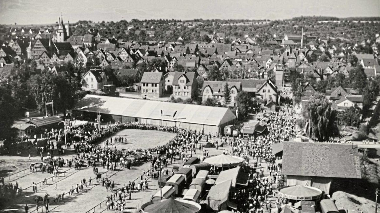 Das Festgelände des Pferdemarktes im Jahr 1949 Reproduktionen: Stadt Bietigheim-Bissingen