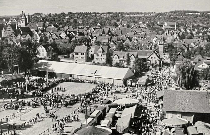 Das Festgelände des Pferdemarktes im Jahr 1949 Reproduktionen: Stadt Bietigheim-Bissingen