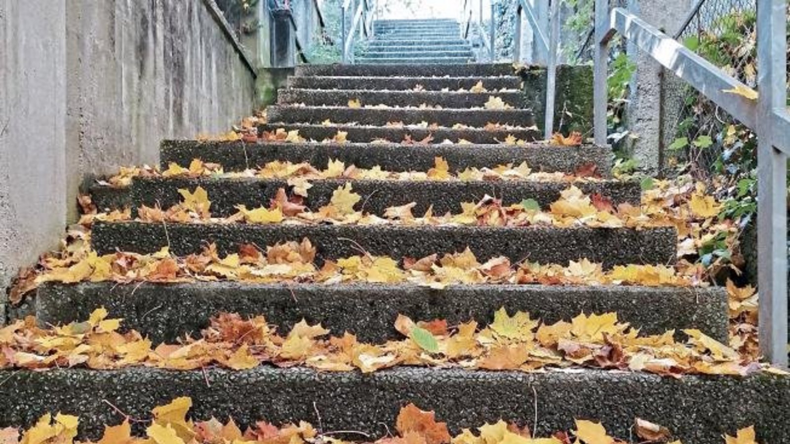Der Herbst färbt graue Stäffele im Alten Postweg in Vaihingen bunt.  Foto: Banholzer