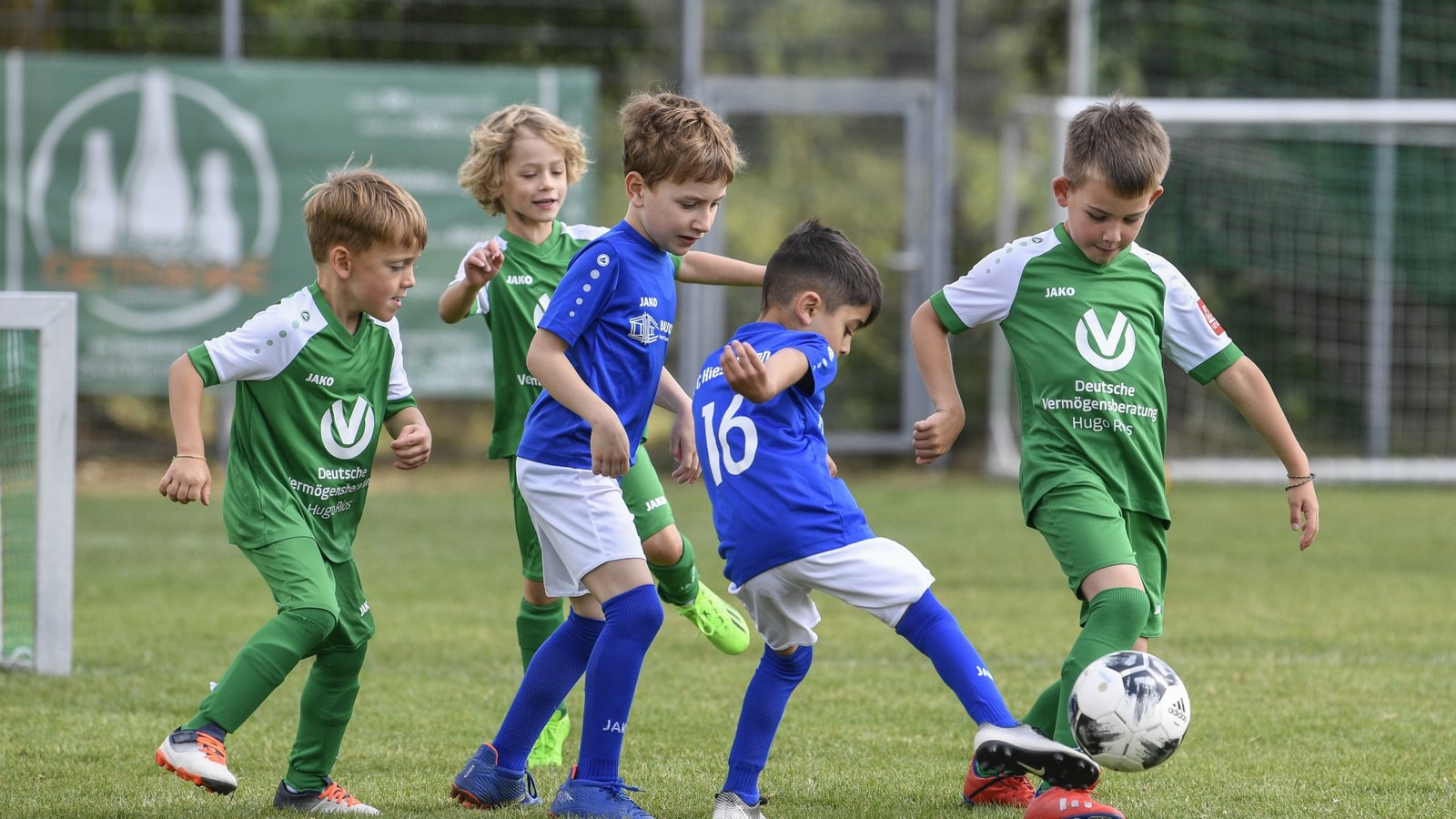 Spiel und Spaß in der Bambini-Partie zwischen Iptingen (grün) und Kieselbronn. Foto: Leitner