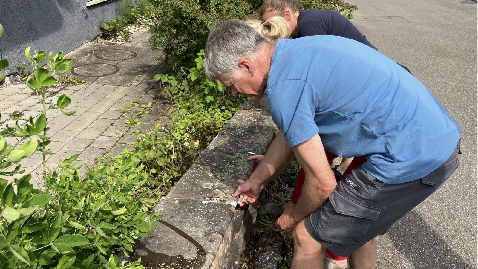 Biologe Christian Wolff und seine Nachbarinnen gehen regelmäßig betroffene Stellen in ihrer Straße ab, um die invasiven Ameisen zu bekämpfen.Foto: STZN/Dürr Biologe Christian Wolff und seine Nachbarinnen gehen regelmäßig betroffene Stellen in ihrer Straße ab, um die invasiven Ameisen zu bekämpfen.Foto: STZN/Dürr