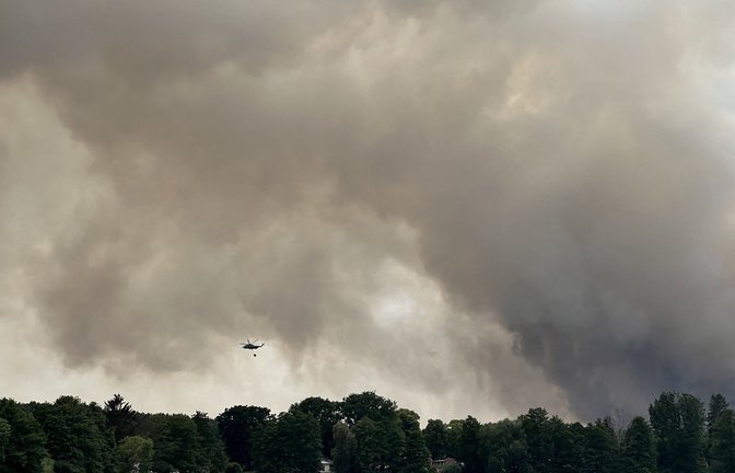 Eine Rauchwolke bei dem Brand in Brandenburg im Juni 2022.<span class='image-autor'>Foto: dpa/Stephanie Pilick</span>