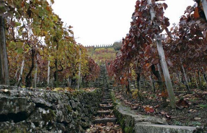 Die Roßwager Halde ragt steil empor. Foto: Rücker