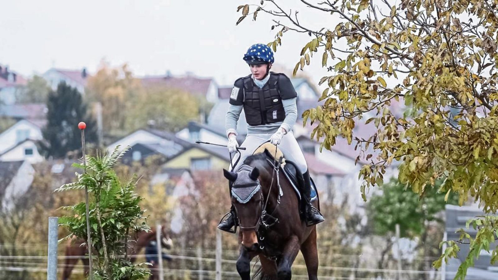 Lena Weeber (RFZV Nussdorf) hat auf Blif bi mi überzeugt, als sie auf der heimischen Reitanlage durchs Gelände ritt. Foto: Simecek Lena Weeber (RFZV Nussdorf) hat auf Blif bi mi überzeugt, als sie auf der heimischen Reitanlage durchs Gelände ritt. Foto: Simecek