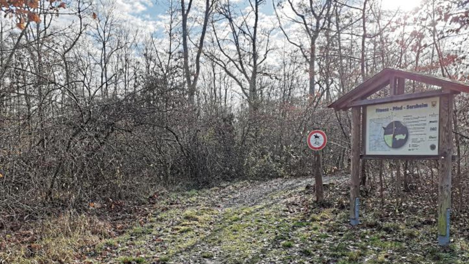 Im Sersheimer Forst rund um den Trimm-Dich-Pfad wurden bereits einige Eichen, die wegen der Trockenheit Schaden genommen hatten, gefällt. Foto: Glemser Im Sersheimer Forst rund um den Trimm-Dich-Pfad wurden bereits einige Eichen, die wegen der Trockenheit Schaden genommen hatten, gefällt. Foto: Glemser