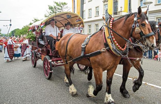 Zumindest den Festzug wird in diesem Jahr in Ludwigsburg nicht geben.  Foto: Archiv