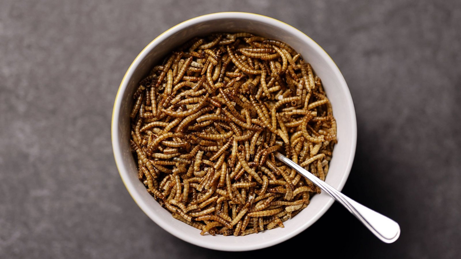 Krabbeltiere auf der Speisekarte: Insekten sind eine reichhaltige Proteinquelle, für viele hierzulande aber noch mit einem gewissen Ekelfutter verbunden.Foto: Imago/Panama Pictures Krabbeltiere auf der Speisekarte: Insekten sind eine reichhaltige Proteinquelle, für viele hierzulande aber noch mit einem gewissen Ekelfutter verbunden.Foto: Imago/Panama Pictures