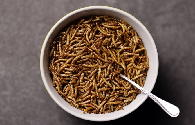 Krabbeltiere auf der Speisekarte: Insekten sind eine reichhaltige Proteinquelle, für viele hierzulande aber noch mit einem gewissen Ekelfutter verbunden.<span class='image-autor'>Foto: Imago/Panama Pictures</span>