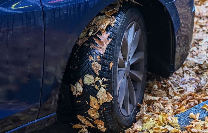Bequemer Kompromiss? Ein Auto mit Ganzjahresreifen im Herbstlaub.<span class='image-autor'>Jens Kalaene/dpa-tmn/dpa</span>