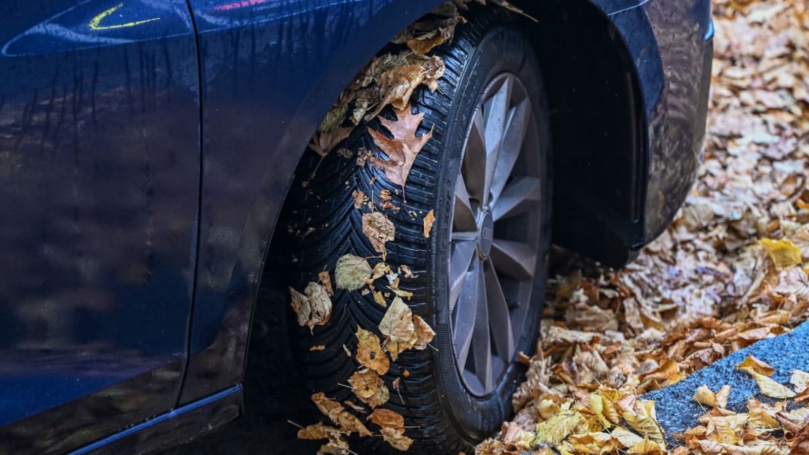 Bequemer Kompromiss? Ein Auto mit Ganzjahresreifen im Herbstlaub.Jens Kalaene/dpa-tmn/dpa Bequemer Kompromiss? Ein Auto mit Ganzjahresreifen im Herbstlaub.Jens Kalaene/dpa-tmn/dpa