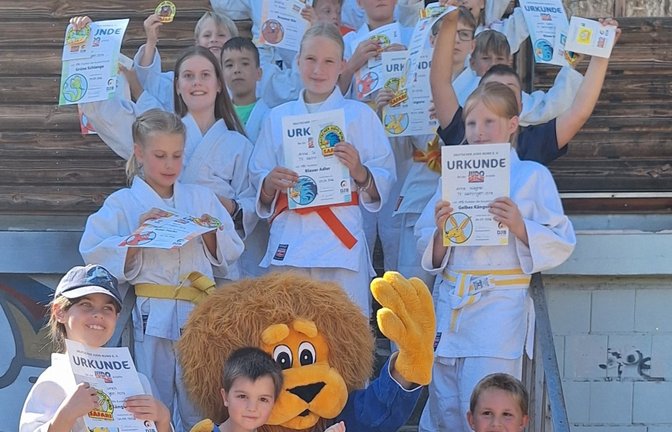 Judo, Karate, TV Vaihingen, Foto: privat