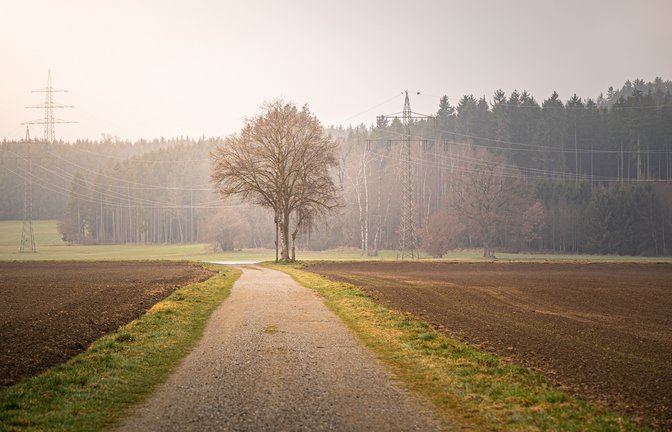 Einer Frau wurde mitten auf einem Feldweg der Geldbeutelgestoßen. Symbolfoto: Pixabay/Gregor Ritter 