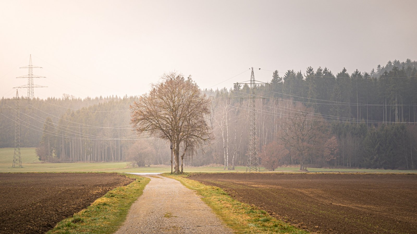 Einer Frau wurde mitten auf einem Feldweg der Geldbeutelgestoßen. Symbolfoto: Pixabay/Gregor Ritter Einer Frau wurde mitten auf einem Feldweg der Geldbeutelgestoßen. Symbolfoto: Pixabay/Gregor Ritter