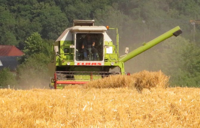 Erntezeit. Die ersten Mähdrescher rollen über die Felder. Die Gerste ist zuerst dran. Hier bei Oberriexingen.  <span class='image-autor'>Foto: Arning</span>