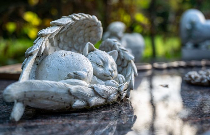 Wenn das Tier stirbt, kann die Trauer ähnlich stark empfunden werden wie für einen Menschen. Während sich Familien gemeinsam beerdigen lassen können, geht das bei Tieren nur selten.<span class='image-autor'>Foto: Imago/Funke Foto Services</span>