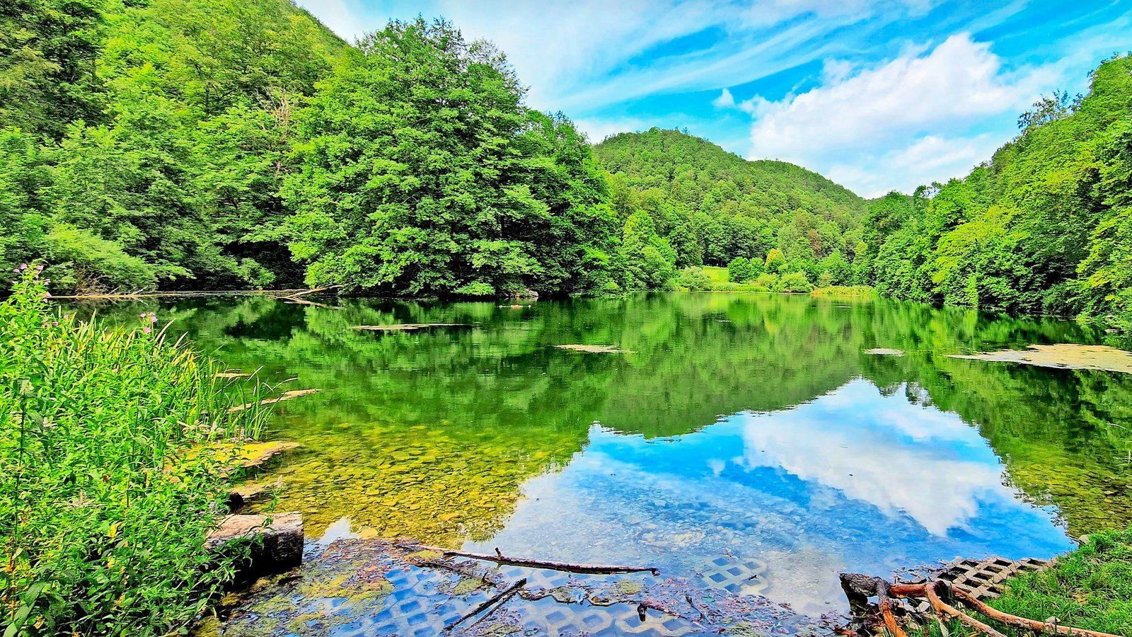 In frischem Frühlingsgrün präsentiert sich der KaltentalseeFoto: Günther Weinert In frischem Frühlingsgrün präsentiert sich der KaltentalseeFoto: Günther Weinert