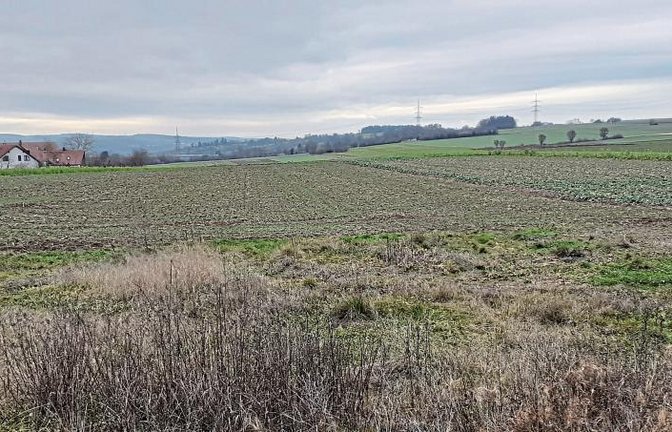 Der Oberriexinger Gemeinderat hat den Planungsentwurf für das Gebiet „Schrannenäcker West“ akzeptiert.  Foto: Glemser