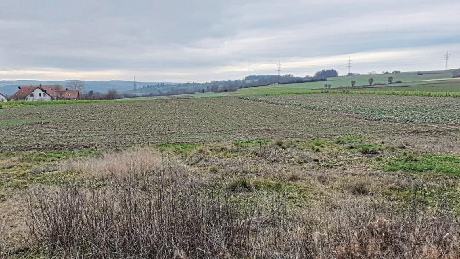 Der Oberriexinger Gemeinderat hat den Planungsentwurf für das Gebiet „Schrannenäcker West“ akzeptiert. Foto: Glemser Der Oberriexinger Gemeinderat hat den Planungsentwurf für das Gebiet „Schrannenäcker West“ akzeptiert. Foto: Glemser