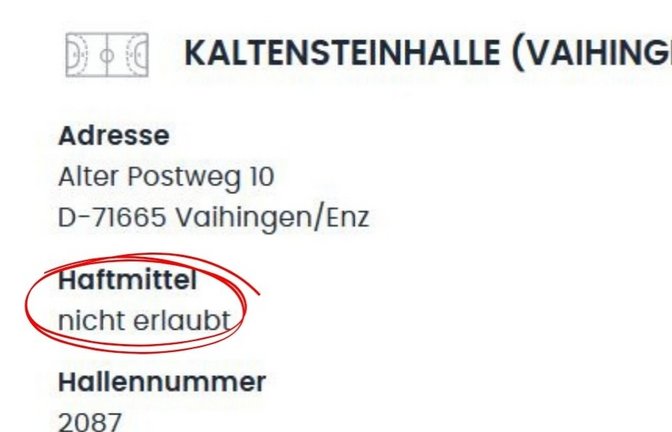 Bislang ist die Kaltensteinhalle im Online-Spielportal noch mit dem Vermerk eines Harzverbotes belegt. Screenshot: privat