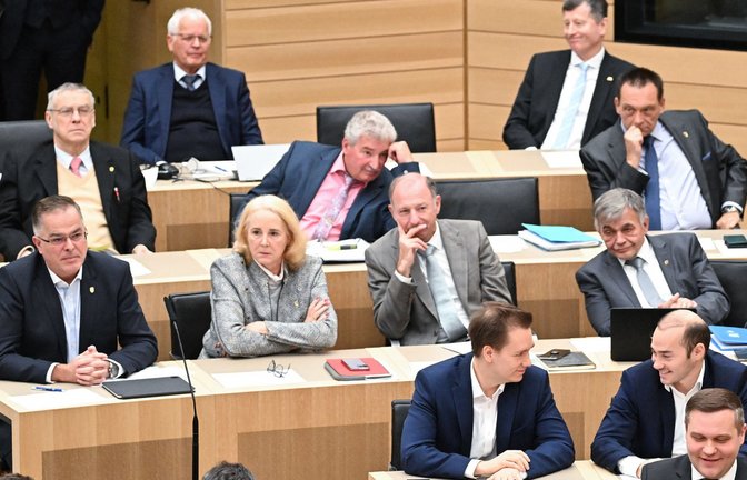 Die AfD-Fraktion im Stuttgarter Landtag: Laut einer Studie würden 22 Prozent der jungen Leute in Deutschland die AfD wählen.<span class='image-autor'>Foto: dpa/Bernd Weißbrod</span>