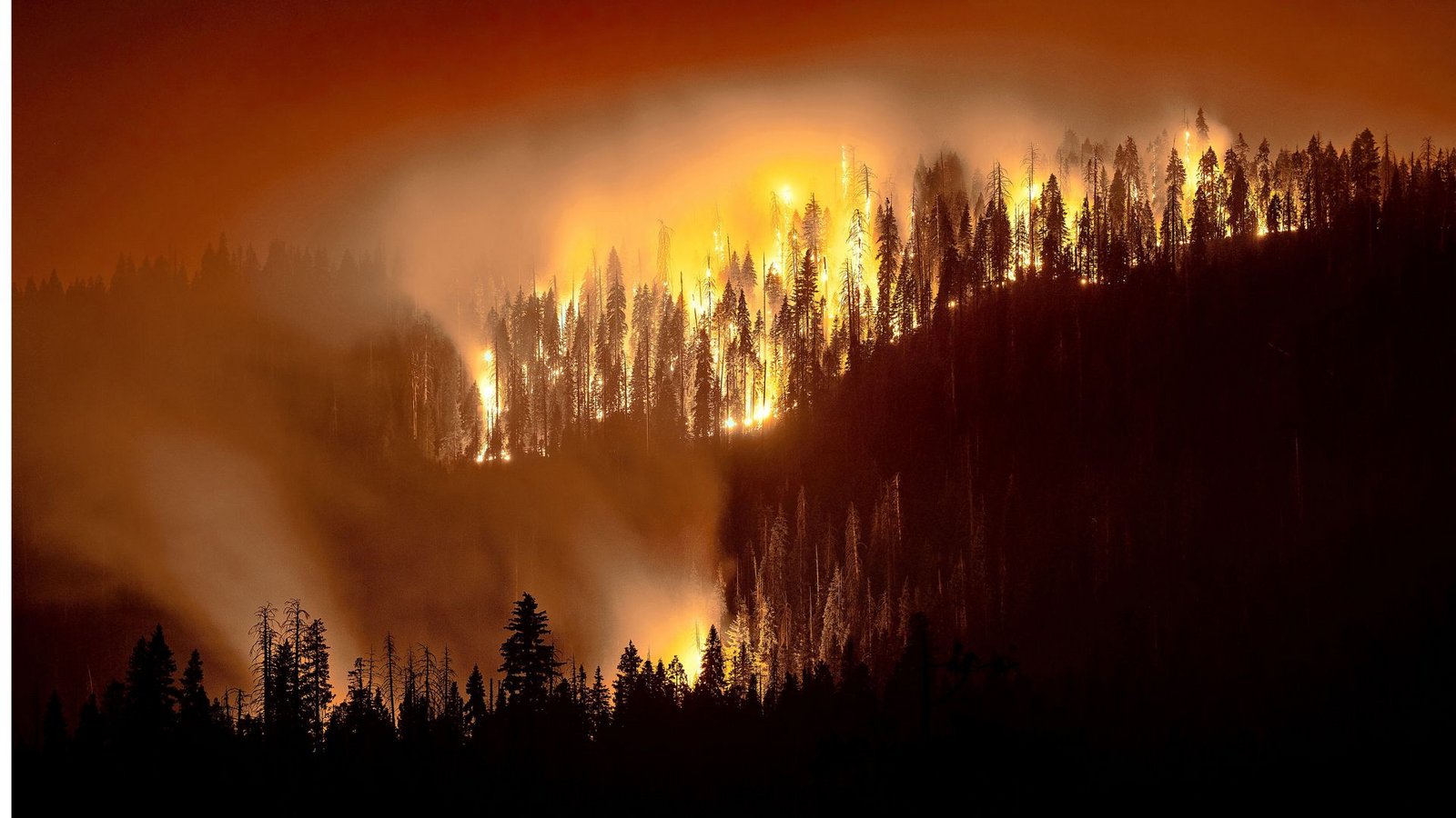 Waldbrand in Kalifornien.Foto: AP/dpa/Noah Berger Waldbrand in Kalifornien.Foto: AP/dpa/Noah Berger