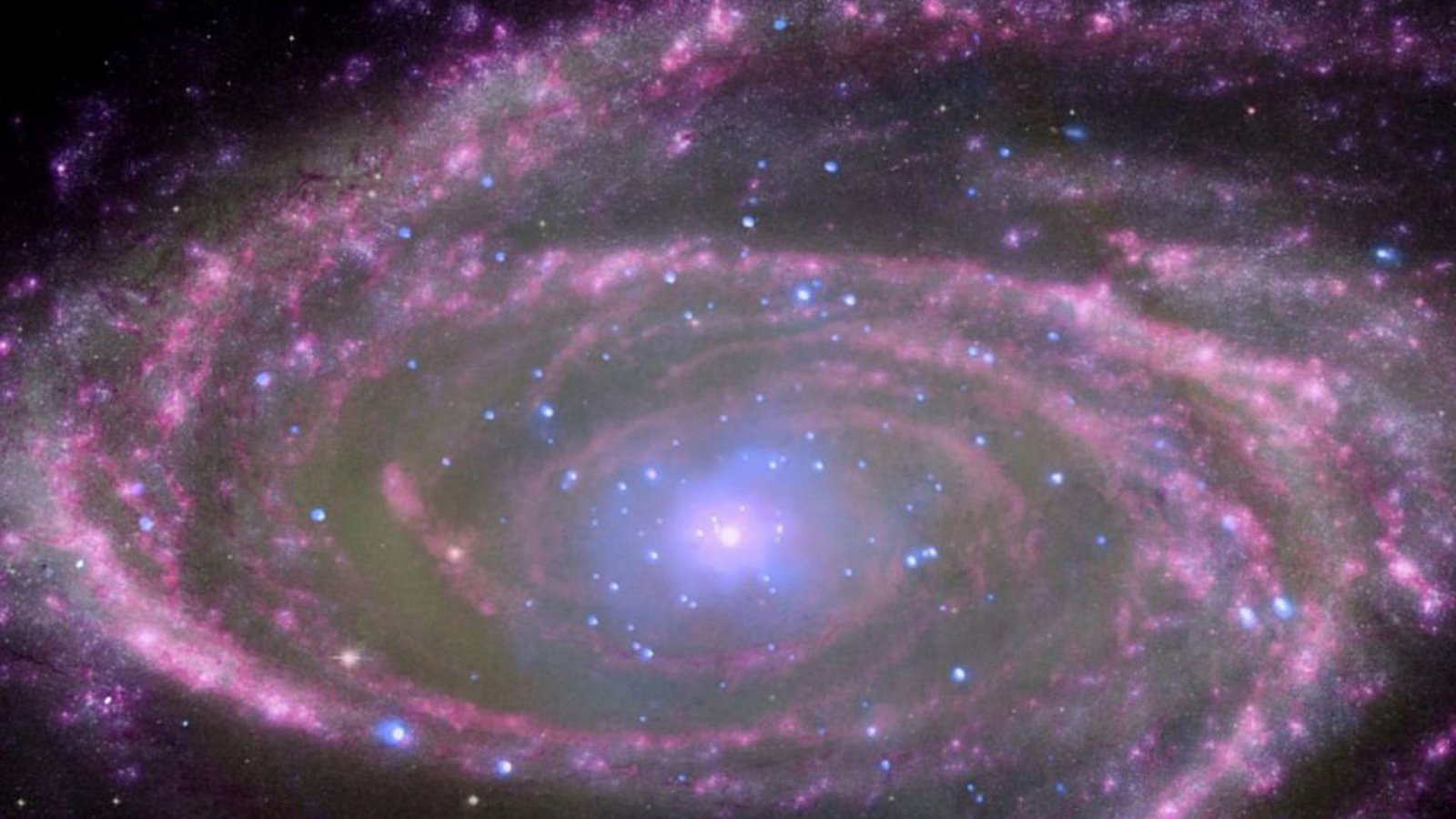 Das von der Nasa am 30. November 2013 herausgegebene Bild zeigt die Spiralgalaxie M81 mit einem supermassereichen Schwarzen Loch.Foto: Nasa/Esa/Jpl Caltech/dpa