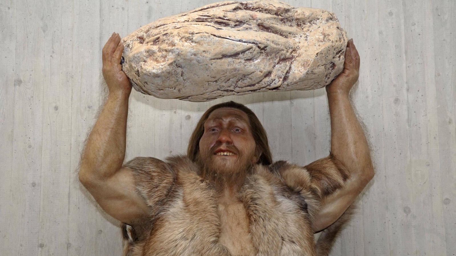 Auch wenn er bärenstark war, ist der Neandertaler ausgestorben. Welche Rolle spilte dabei das giftige Schwermetall Blei?Foto: mago/Rupert Oberhäuser