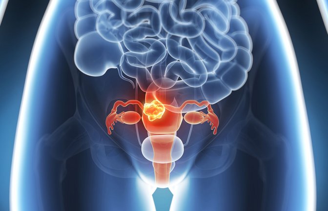 Foto: SciePro - stock.adobe.com
