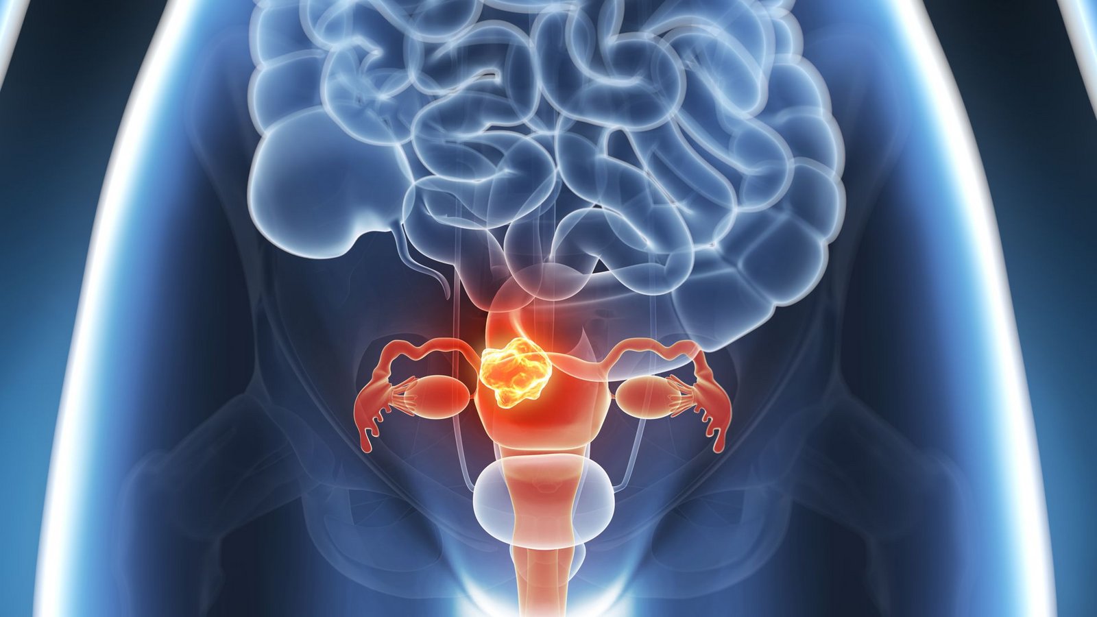 Foto: SciePro - stock.adobe.com