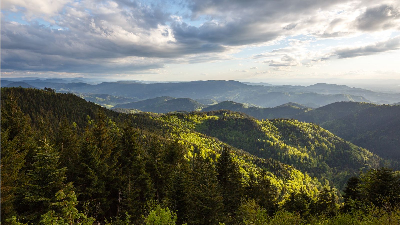 Manche lieben ihn, manche könnten gerne auf ihn verzichten: den Nationalpark Schwarzwald.Foto: /David Lohmueller Manche lieben ihn, manche könnten gerne auf ihn verzichten: den Nationalpark Schwarzwald.Foto: /David Lohmueller