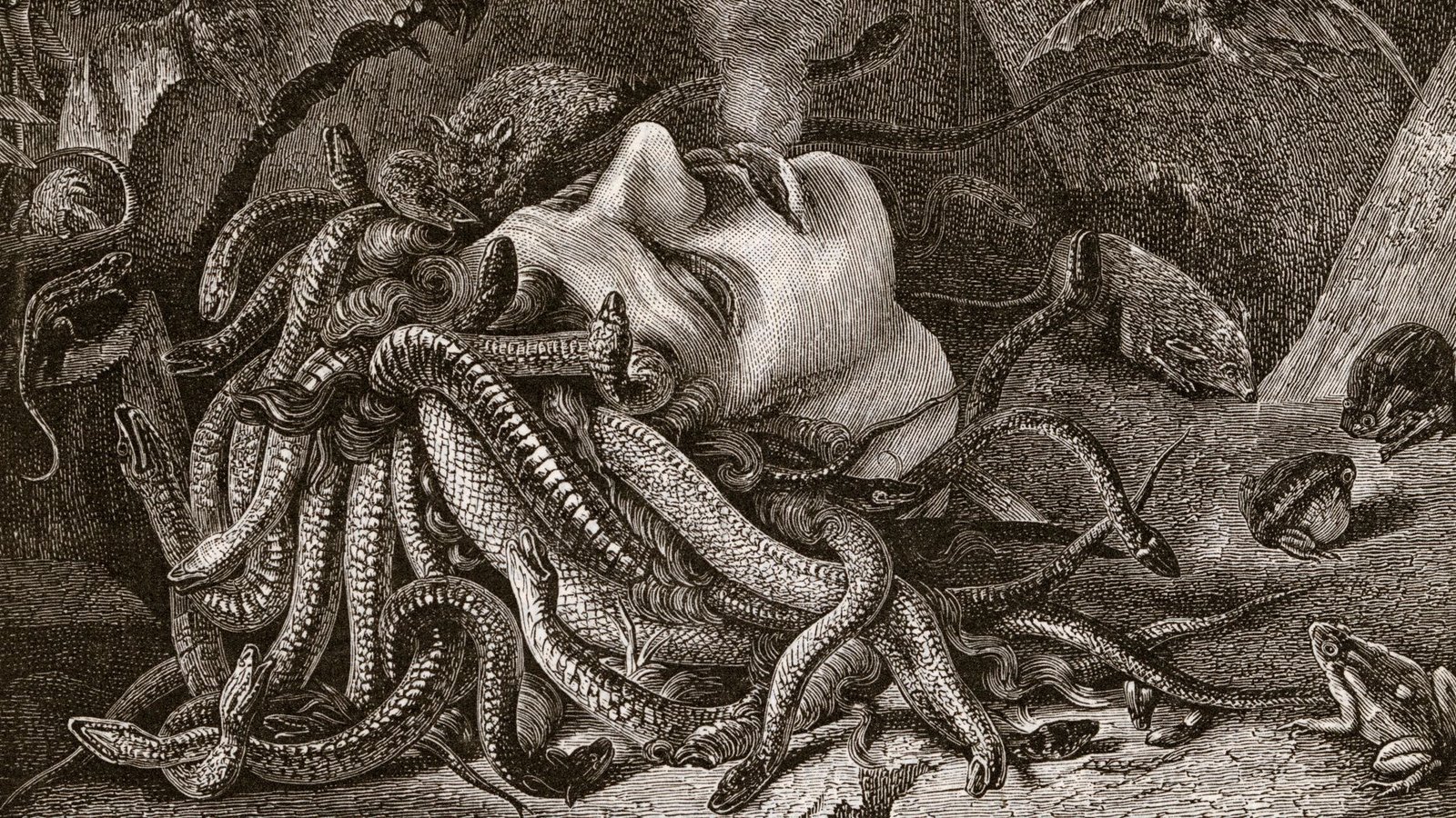 Medusa: Eine der in der griechischen Mythologie beschriebenen Gorgonen, Tochter der Meeresgottheiten Phorkys und Keto, Schwester von Stheno und Euryale. Als einzige der drei Gorgonen ist sie sterblich. Der Held Perseus schlug ihr das Schlangenhaupt ab.Foto: Imago/Gemini Collection
