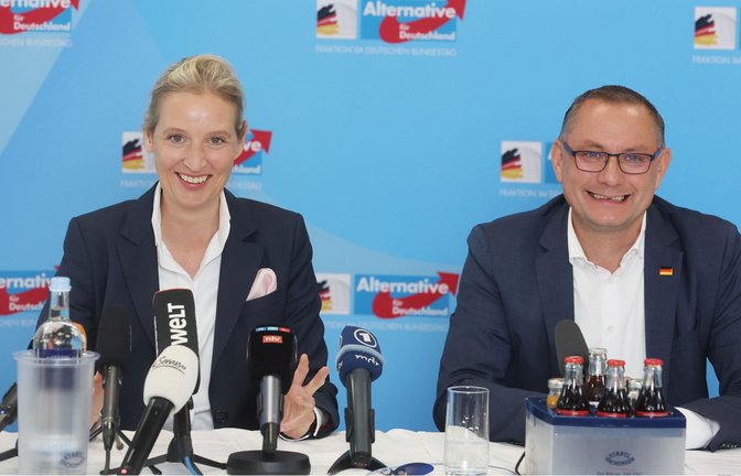 Sie haben gut Grinsen: die Parteivorsitzenden Alice Weidel und Tino Chrupalla.<span class='image-autor'>Foto: dpa</span>