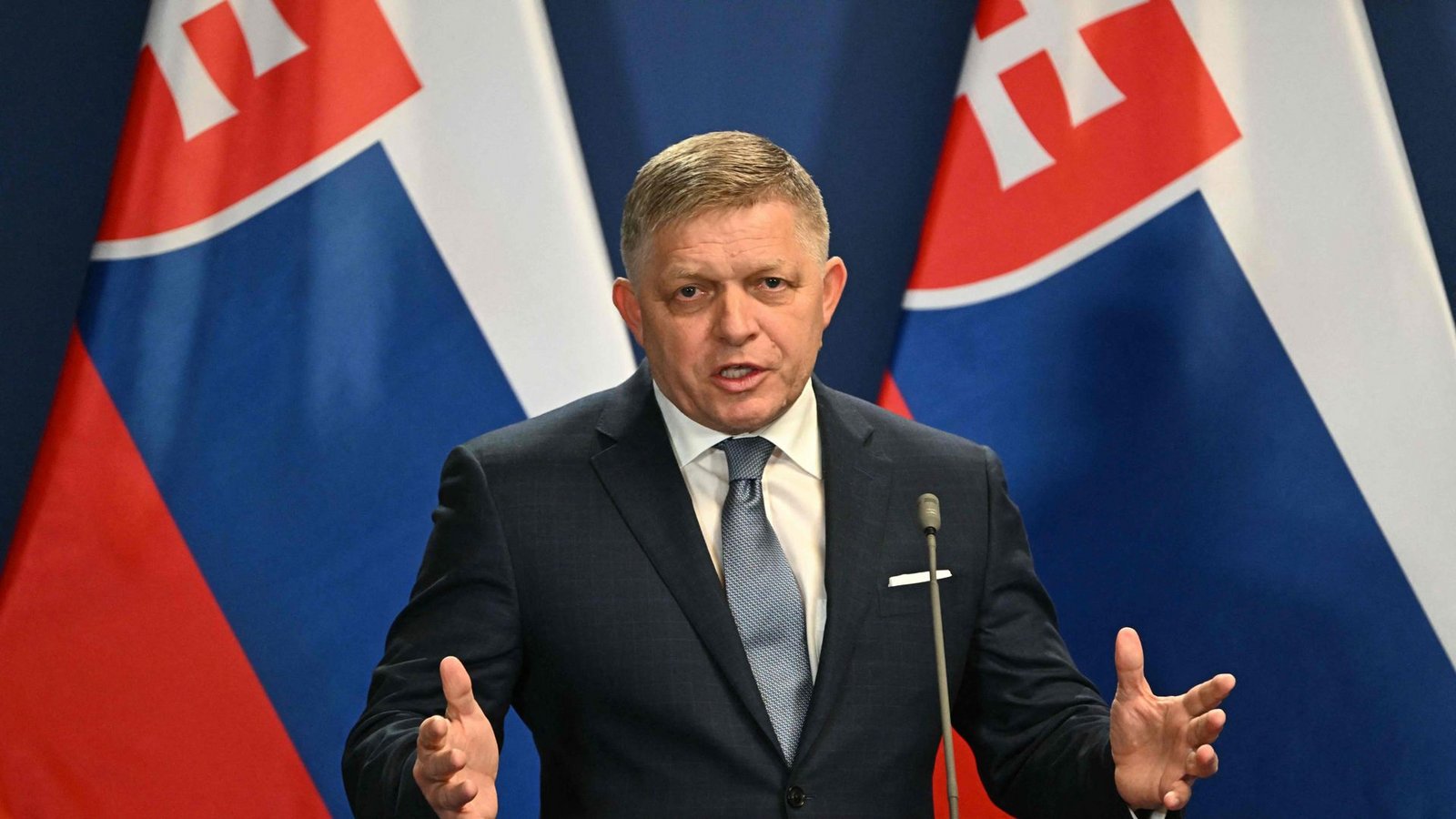 Der slowakische Premier Robert FicoFoto: AFP/ATTILA KISBENEDEK