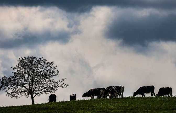 Zwischen dem Alpenrand und der Lausitz werden laut DWD am Montag teils starke Gewitter erwartet. (Archivbild)<span class='image-autor'>Foto: Oliver Berg/dpa</span>