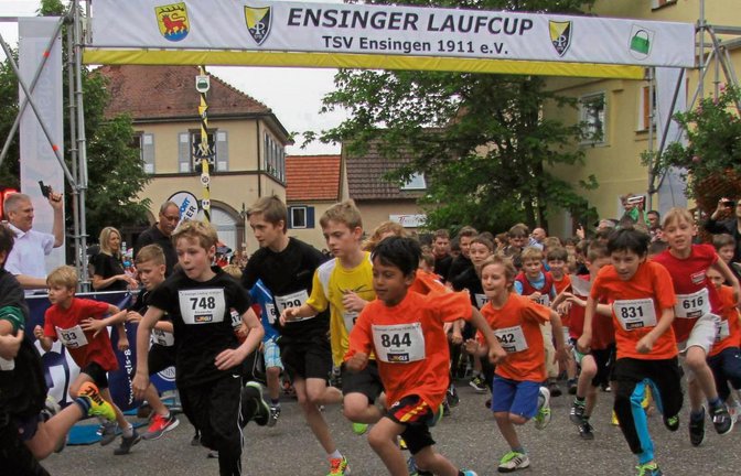 Schülerläufe (Bild), aber auch Distanzen bis hin zum Halbmarathon prägen das Bild beim Ensinger Laufcup. Foto: Archiv/Nachreiner