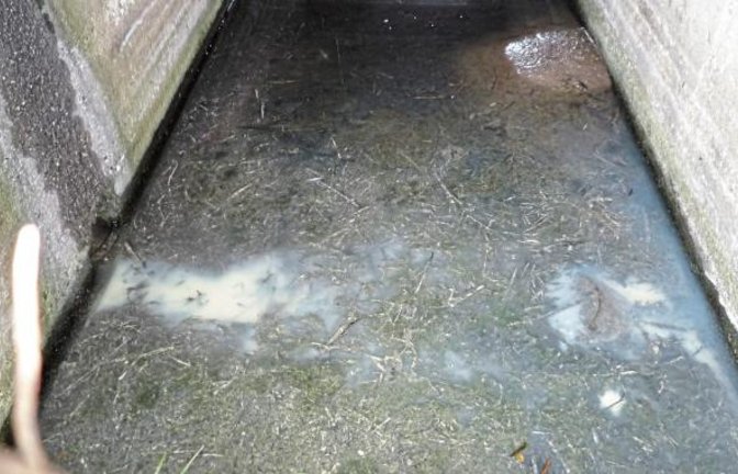 Falsche Entsorgung von Abfällen in Gewässern. Die Stadt Mühlacker warnt. Foto: p
