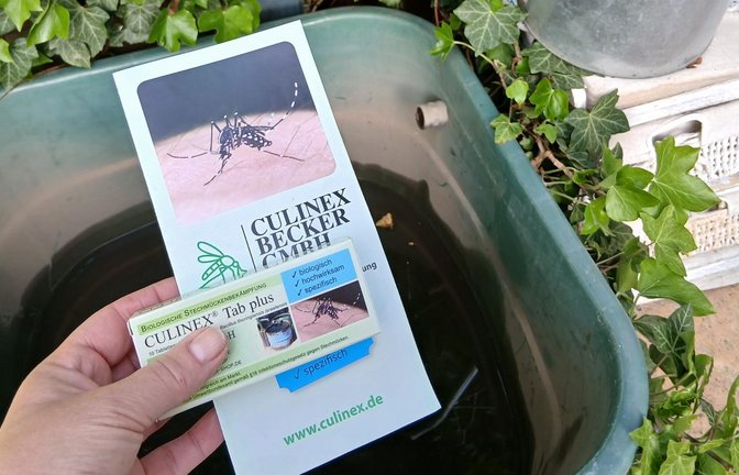 Ab ins Wasser damit: die Bti-Tabletten gegen Tigermücken. <span class='image-autor'>Foto: Kniep/Stadt Vaihihgen</span>