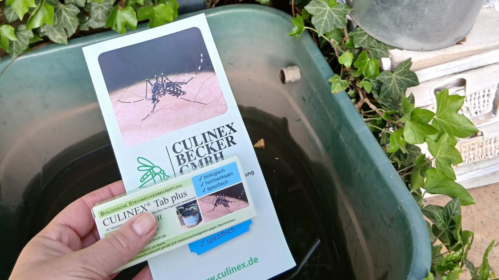 Ab ins Wasser damit: die Bti-Tabletten gegen Tigermücken. Foto: Kniep/Stadt Vaihihgen Ab ins Wasser damit: die Bti-Tabletten gegen Tigermücken. Foto: Kniep/Stadt Vaihihgen