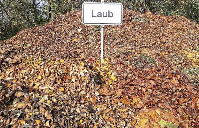 Zu dieser Jahreszeit wachsen wieder die Laubberge, hier auf dem Auricher Häckselplatz. sr