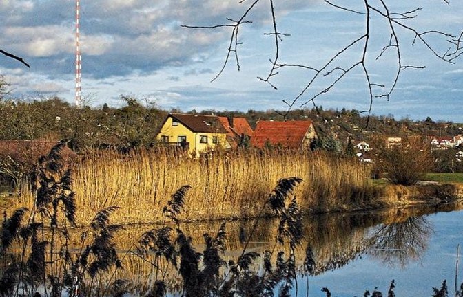 Der Wullesee soll wieder zu einem Refugium für Wasserlebewesen werden – und ebenso zu einem Idyll in der Kulturlandschaft bei Dürrmenz.  Foto: Kollros
