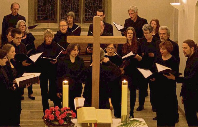 Der Motettenchor des Kirchenbezirks Vaihingen musiziert zugunsten der neuen Orgel in Hochdorf.  Foto: Friedrich