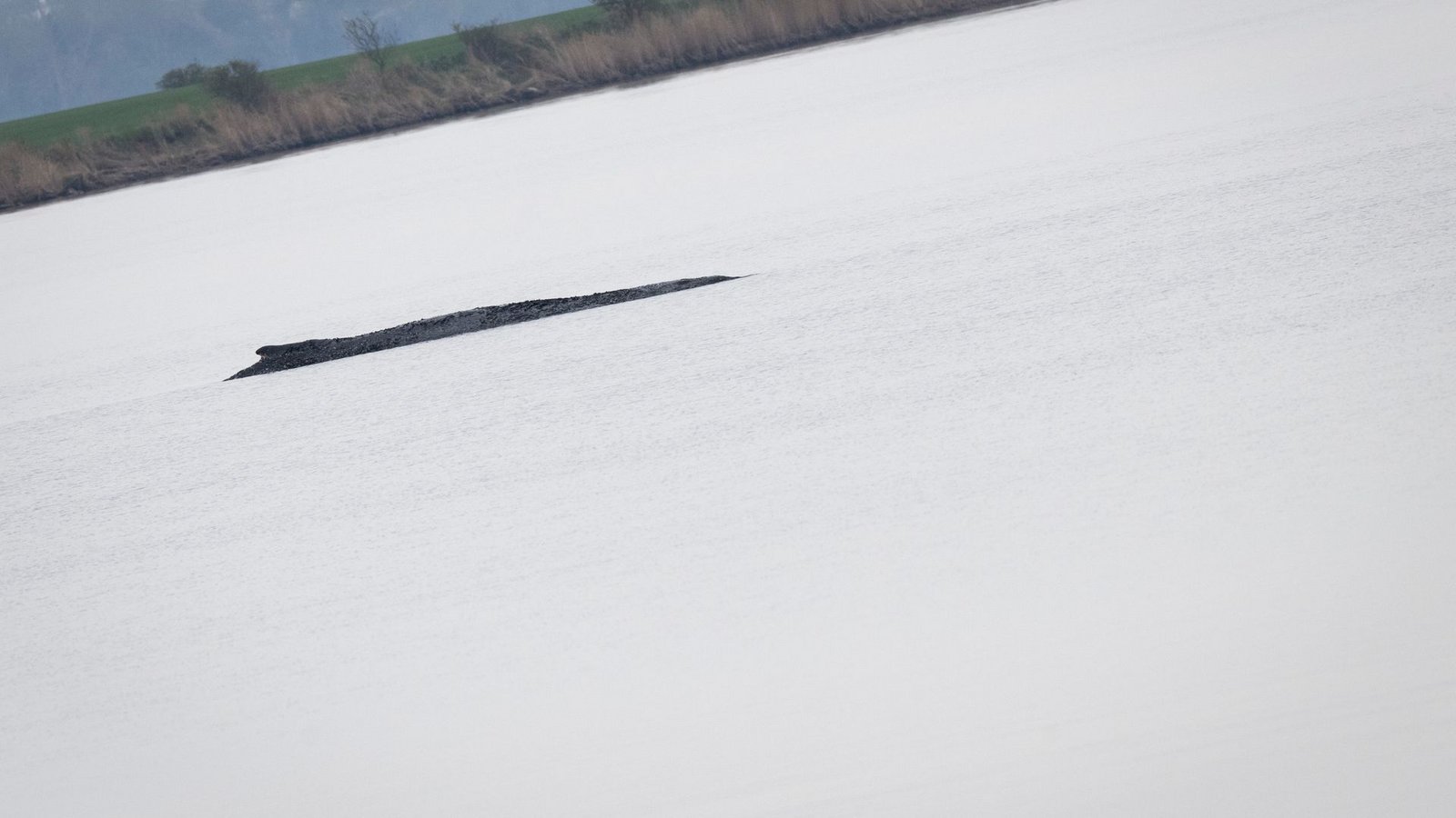 Der Wal vor Poel war nach Angaben eines dpa-Fotoreporters auch am Mittwoch deutlich zu hören.Foto: Philip Dulian/dpa