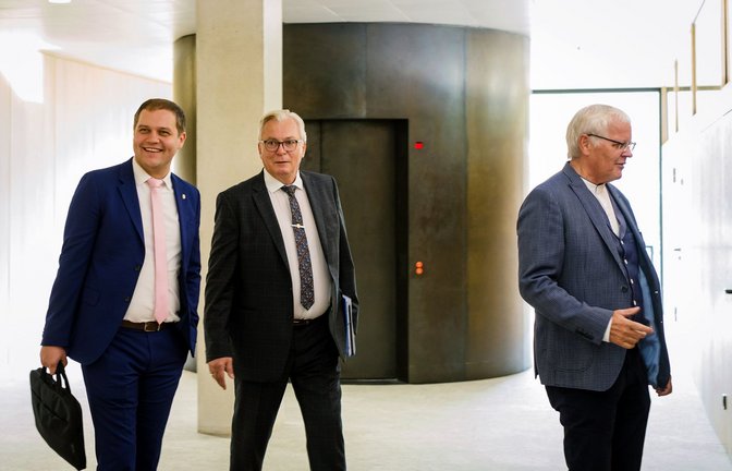 Der neue AfD-Fraktionschef Anton Baron (links) neben seinem  Vorgänger Bernd Gögel und Emil Sänze (rechts).<span class='image-autor'>Foto: dpa/Christoph Schmidt</span>