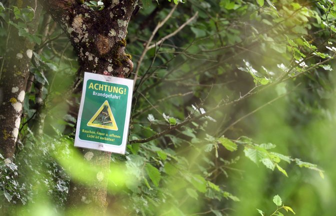 Die Sonne lacht über Baden-Württemberg am Wochenende – doch auch die Waldbrandgefahr steigt (Symbolbild).<span class='image-autor'>Foto: dpa/Karl-Josef Hildenbrand</span>