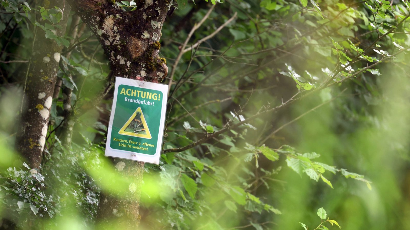 Die Sonne lacht über Baden-Württemberg am Wochenende – doch auch die Waldbrandgefahr steigt (Symbolbild).Foto: dpa/Karl-Josef Hildenbrand