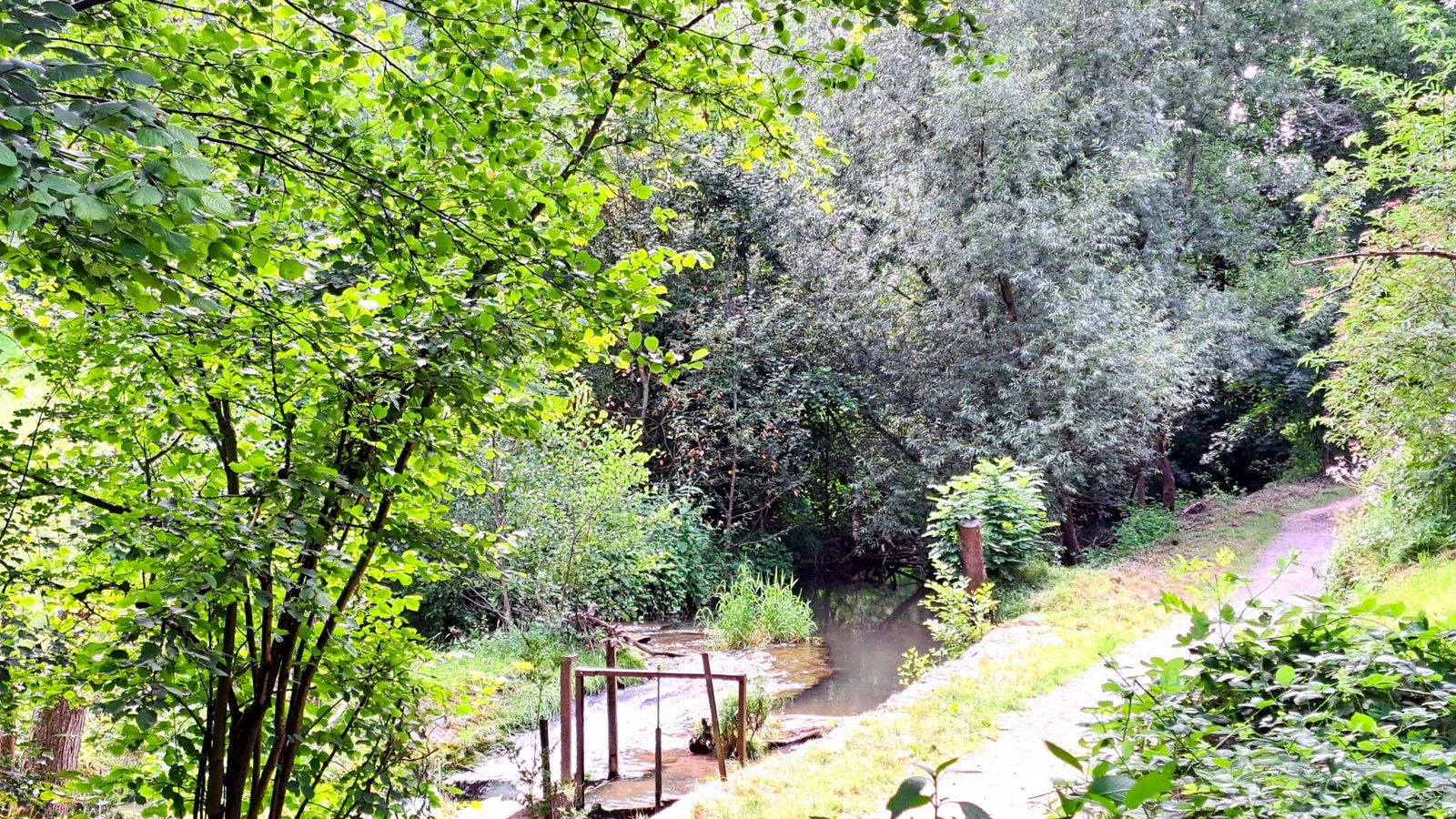 Von Enzweihingen aus führt der Weg durchs idyllische Kreuzbachtal nach Aurich.