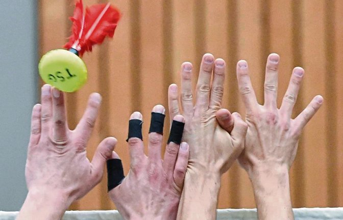 Ohne größere Probleme haben sich die Frauen des TSV Enzweihingen als Süddeutscher Meister für die DM qualifiziert. Foto: Archiv/Leitner