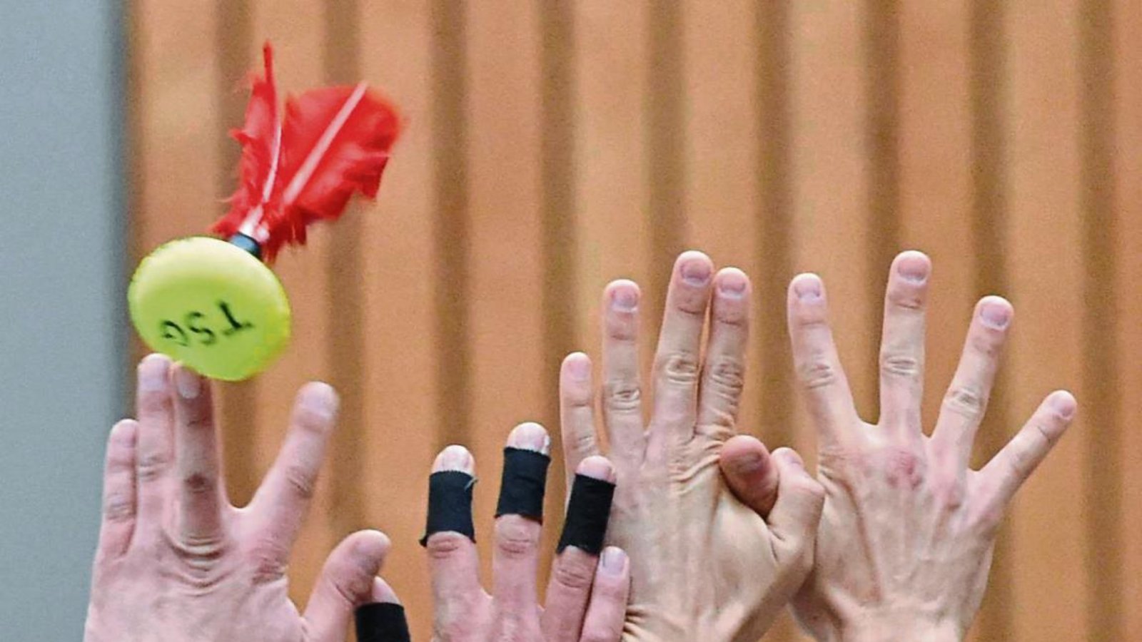 Ohne größere Probleme haben sich die Frauen des TSV Enzweihingen als Süddeutscher Meister für die DM qualifiziert. Foto: Archiv/Leitner Ohne größere Probleme haben sich die Frauen des TSV Enzweihingen als Süddeutscher Meister für die DM qualifiziert. Foto: Archiv/Leitner