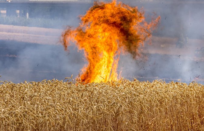 Weithin sichtbar: der Feldbrand nahe der Landesstraße 1127 bei Leutenbach im Rems-Murr-Kreis.<span class='image-autor'>Benjamin Beytekin/Blauchlichtzentrale</span>