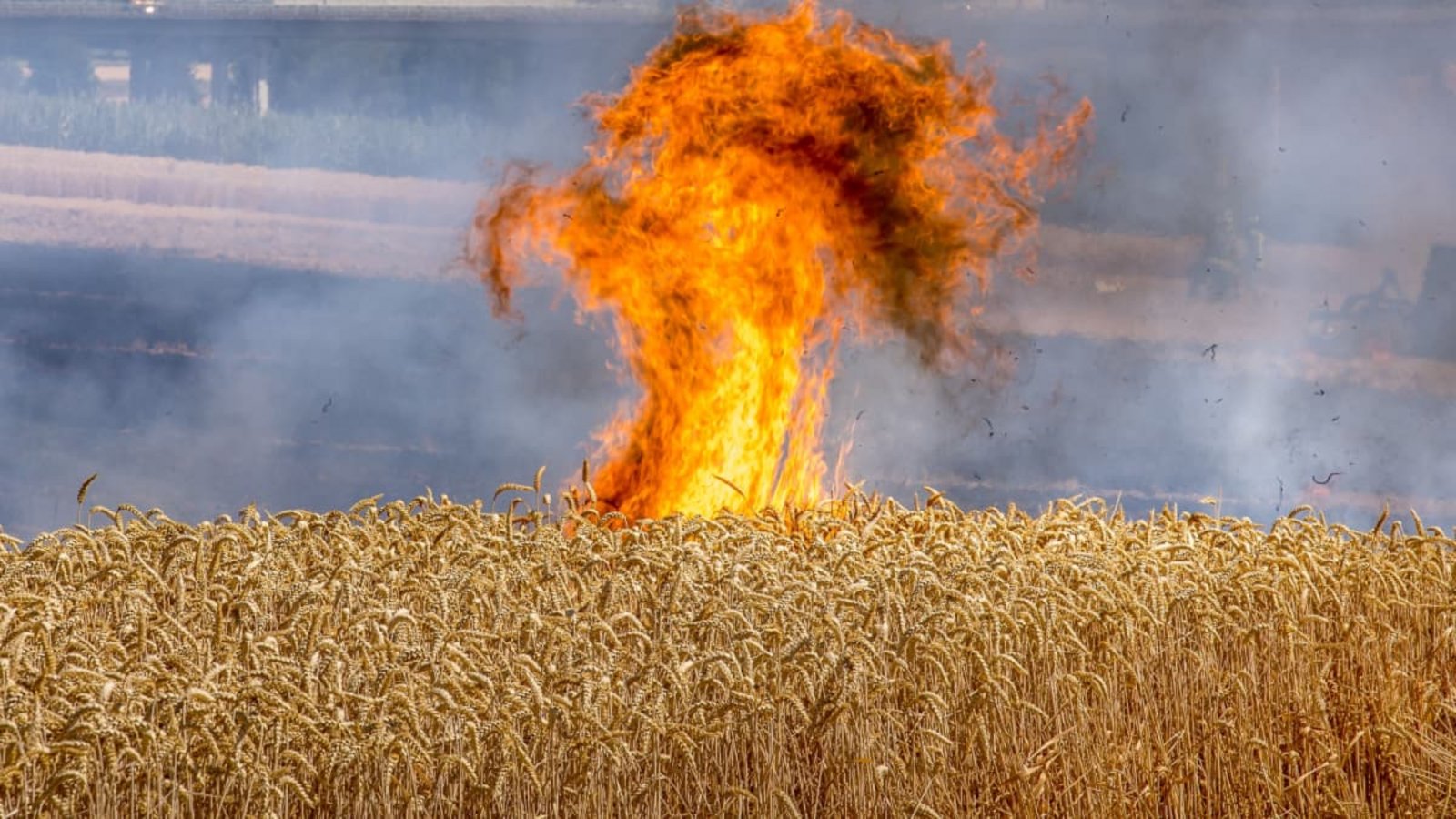 Weithin sichtbar: der Feldbrand nahe der Landesstraße 1127 bei Leutenbach im Rems-Murr-Kreis.Benjamin Beytekin/Blauchlichtzentrale Weithin sichtbar: der Feldbrand nahe der Landesstraße 1127 bei Leutenbach im Rems-Murr-Kreis.Benjamin Beytekin/Blauchlichtzentrale